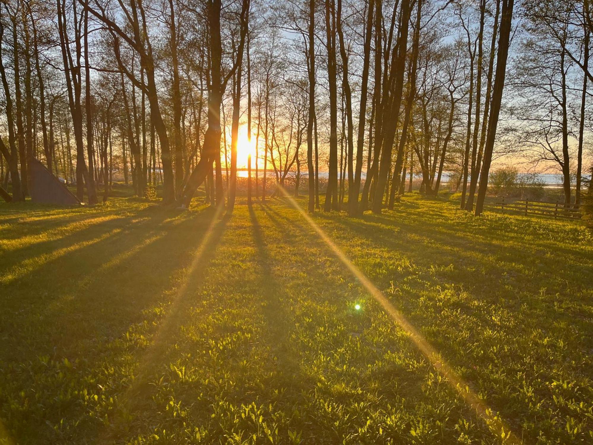 Sun& Relax- Tinyhouse Villa Syytme Exteriör bild